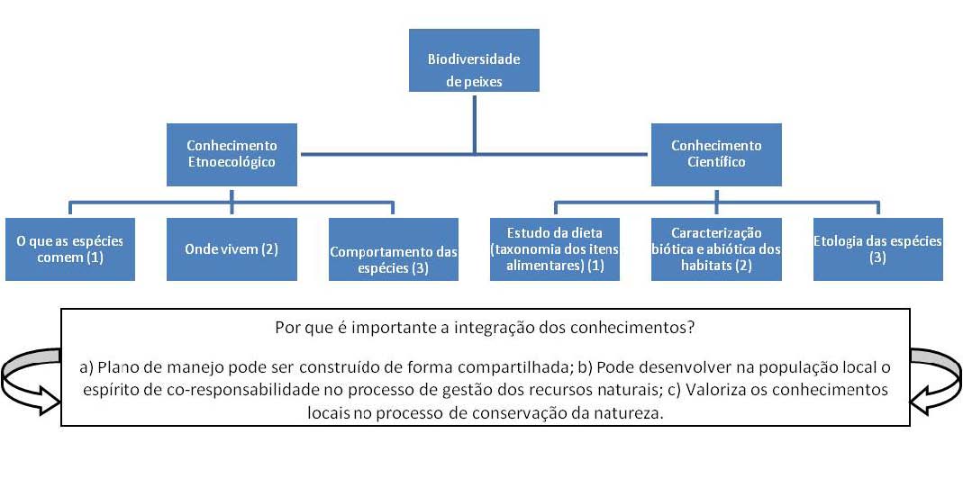 Figura 4