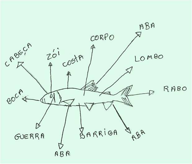 Figura 5