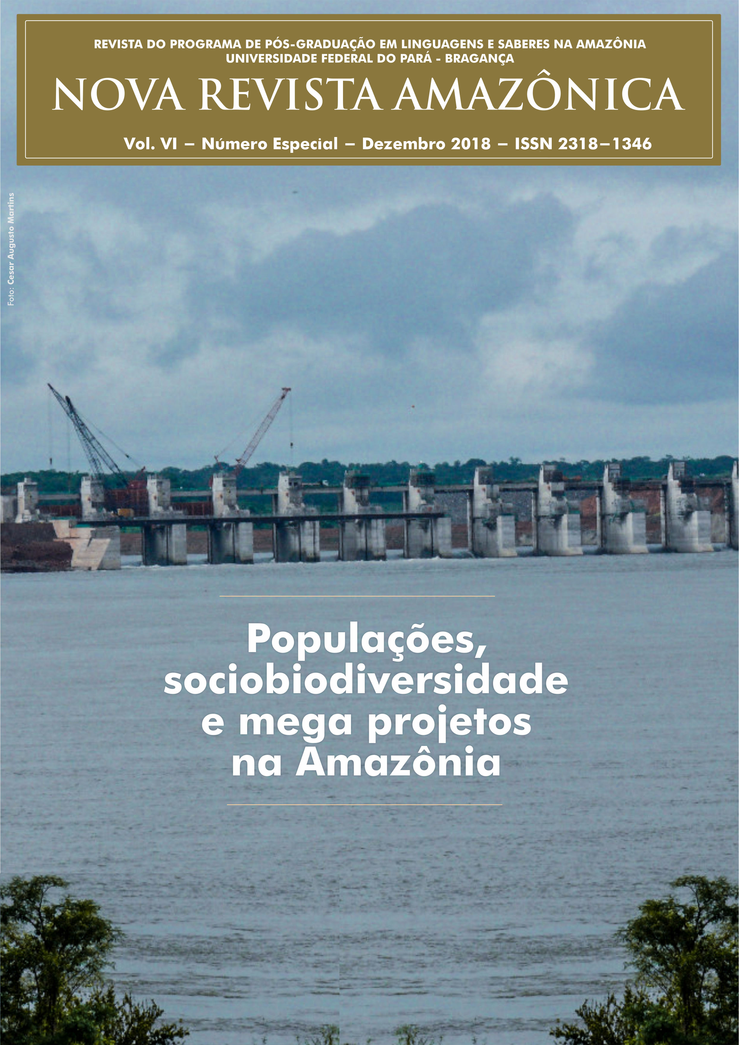 Capa da revista