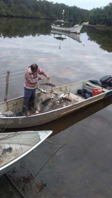 <p><span><br /></span></p><p><span>Imagem da capa:</span></p><p><span>Autor: Alan Crhistian Alvão</span></p><p><span>Título: Pescadores artesanais de rede escorada (estacada), Pará, Brasil</span></p>